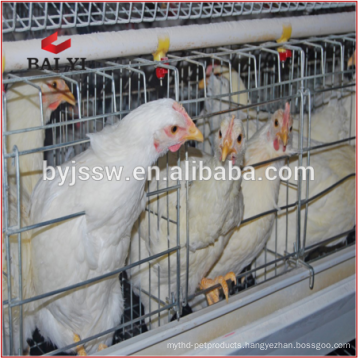 Poultry Layer Chicken Cage For Costa Rica Chicken Farms